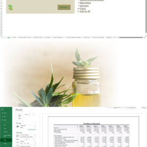 CBD Products Retail/Online Store Financial Model