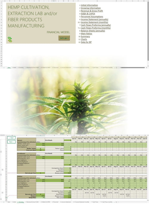 hemp cultivation extraction financial model