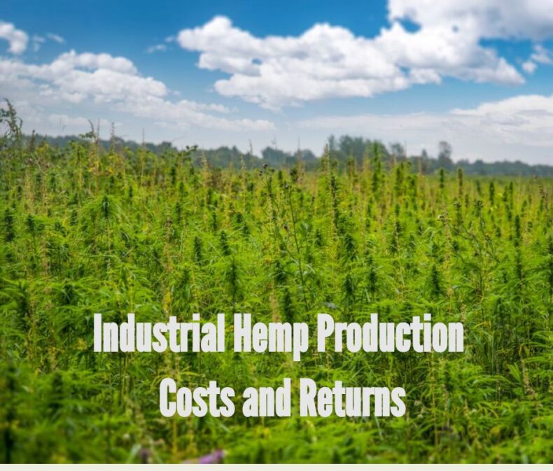 How Much Does it Cost to Grow Hemp?